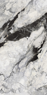 QT9AJ806WA-挪威森林