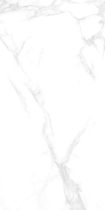 QT7AJ006WA-奈高斯白