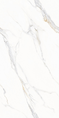 QJA918D262L-卡拉卡金