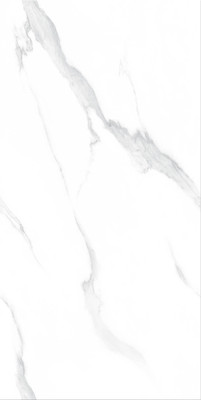 QT9AJ752WAL-柏尔白