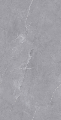 QT9LJ319WA-娜金丝灰